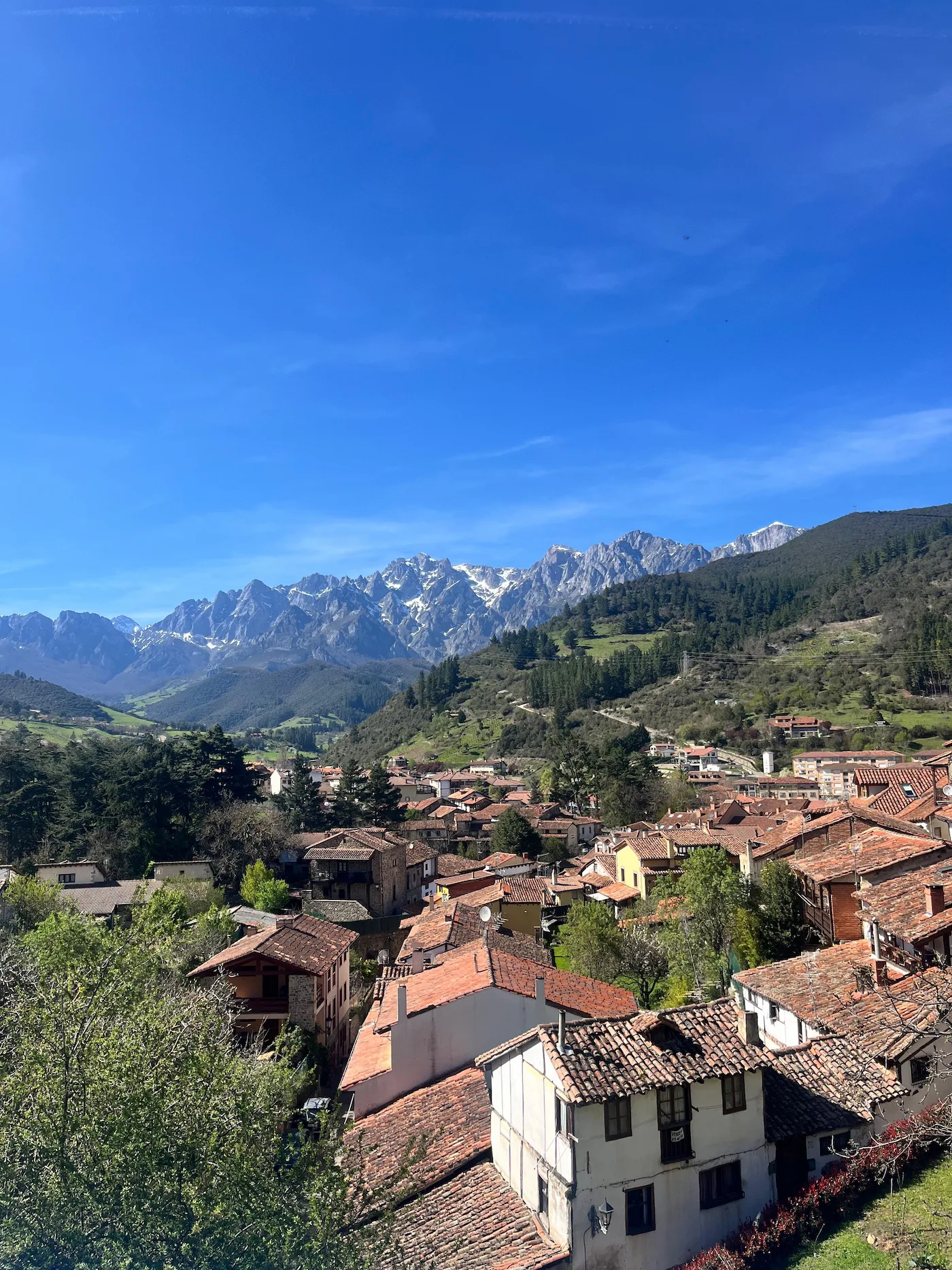 Picos de Europa